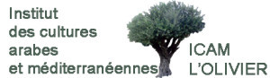 logo-icam-transp-ok2-300x87