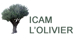 Institut des cultures arabes et méditerranéennes  (ICAM)